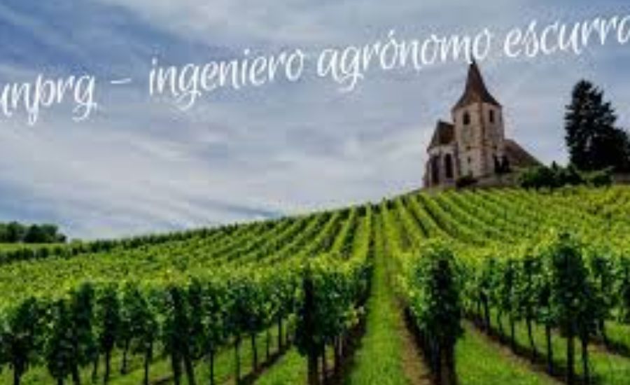 Unprg - Ingeniero Agrónomo Escurra Clso, Ingeniero Ambition & More 2 The Role of Ingeniero Agrónomo