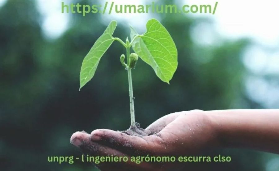 Unprg - Ingeniero Agrónomo Escurra Clso, Ingeniero Ambition & More 3 The Roots of Ingeniero Agrónomo Escurra: A Leader in Agricultural Innovation