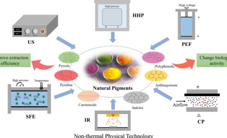 https://www.sciencedirect.com/science/article/abs/pii/s2352492823006505