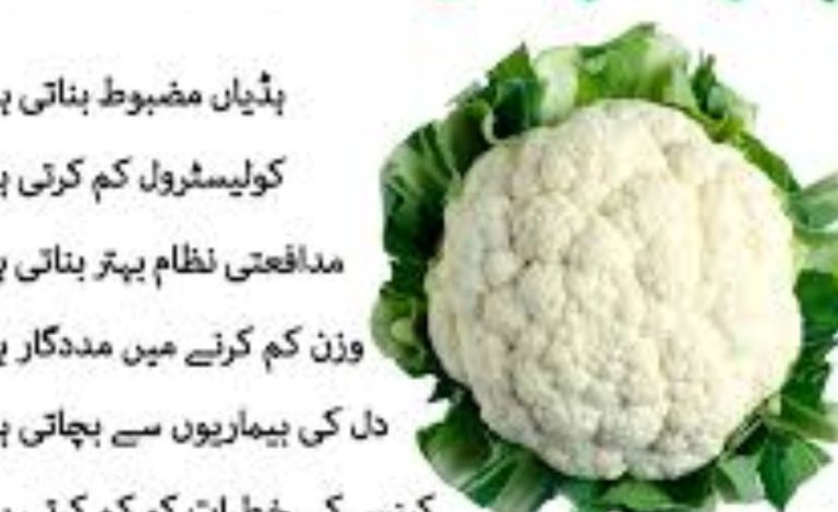 What Is Kolopobgofit Used For