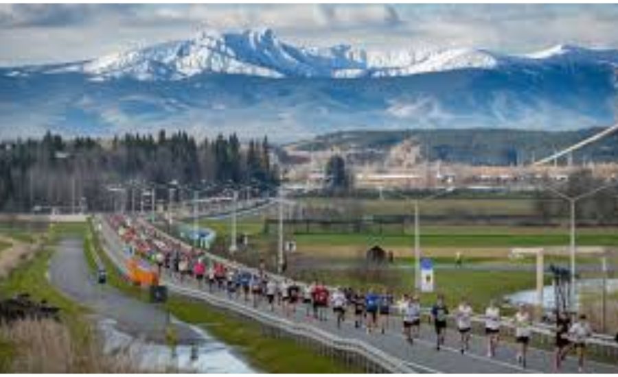 The Bear Race 2024
