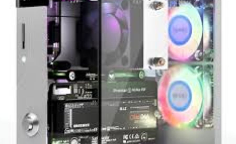 How Do I Change The Colour On Piroman Case, Understanding & More 3 Maury Ange Faith Martinez Daquan And Jorge 5 1