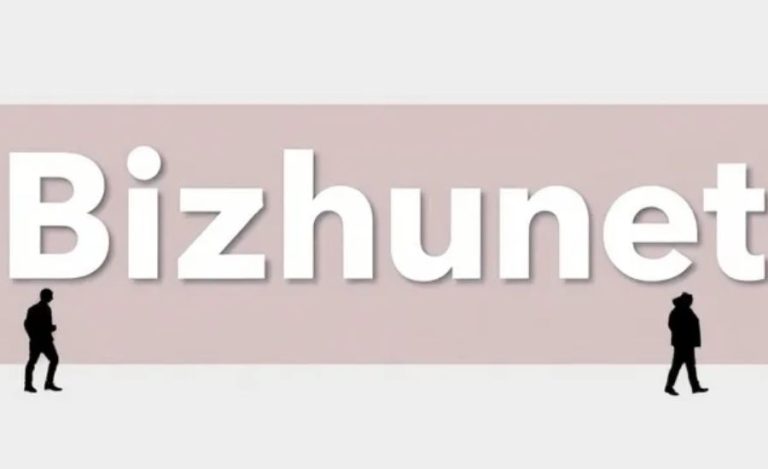 Bizhunet