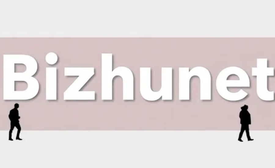 Bizhunet
