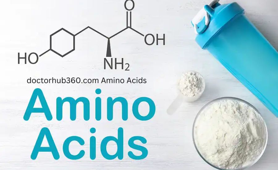 Doctorhub360.com Amino Acids