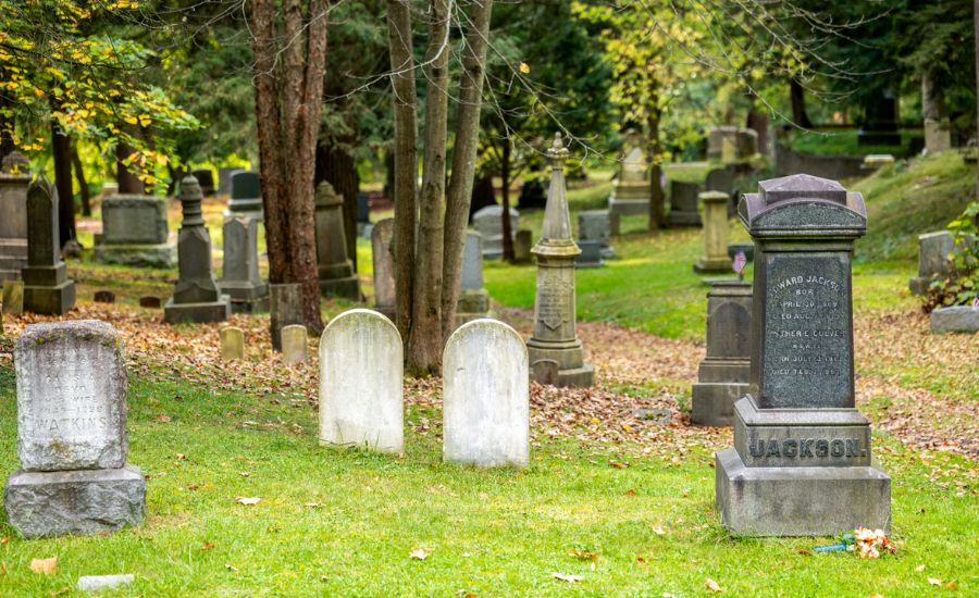Bridge Street Advisors Tombstones Presentation, Bridge, & More 3 The Plan Handle and Conceptualization